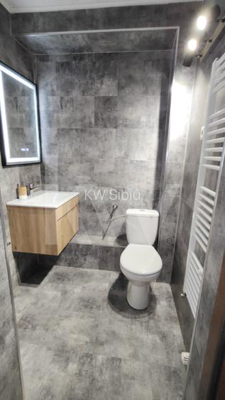  Vila de poveste din Valea Avrigului de vanzare - 19