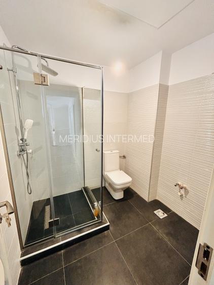 Închiriere apartament duplex – spațiu reprezentativ ultracentral, Parc Primarie - 14