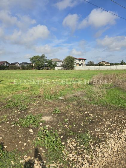 Vanzari terenuri in Lazu - 7