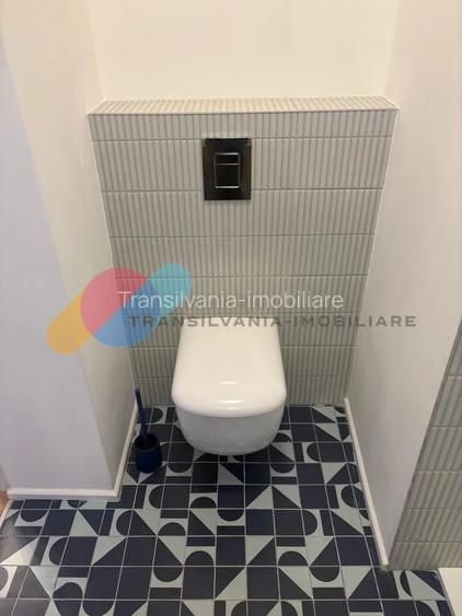 Apartament 2 Camere, 40mp, zona Horea, in vila, curte interioara - 6