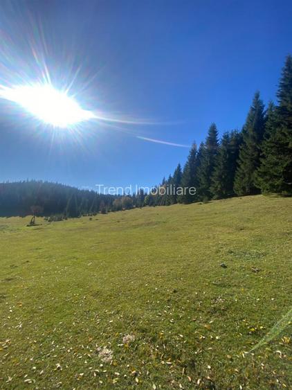 Teren extravilan la Poiana Horea - Belis - 16.000 mp - 2
