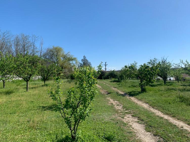 FERMĂ - PIETRENI - DN3 - UTILITĂȚI - 10.680 MP - 23