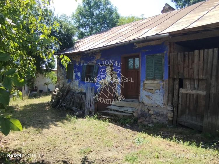 Teren intravilan 2828 mp+autorizatie casa-anexe-livada-Dorolea - 3