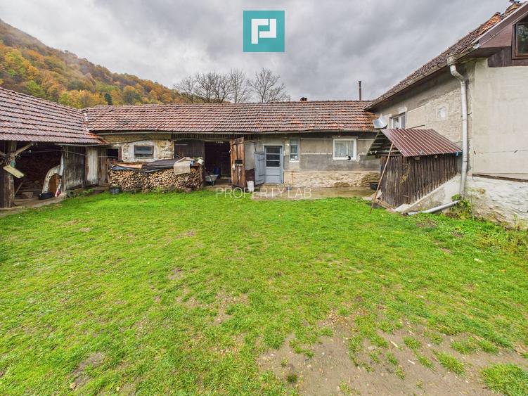 Casă renovată în localitatea Lazuri, Arad - 16