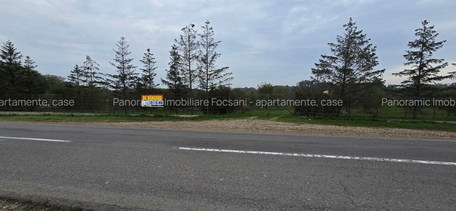 LIVADA  DE VANZARE FOCSANI-DUMBRAVITA  1,8  HA - 22