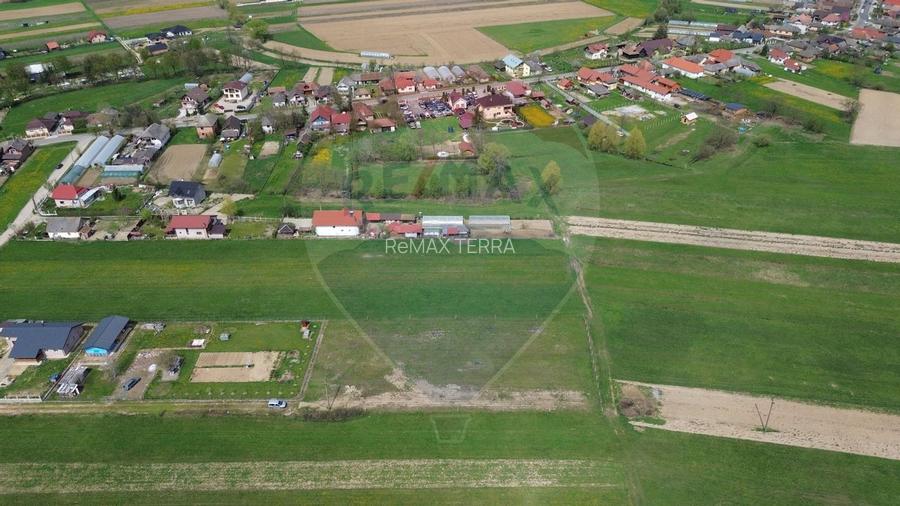 Teren de vânzare intravilan Cătălina - 8