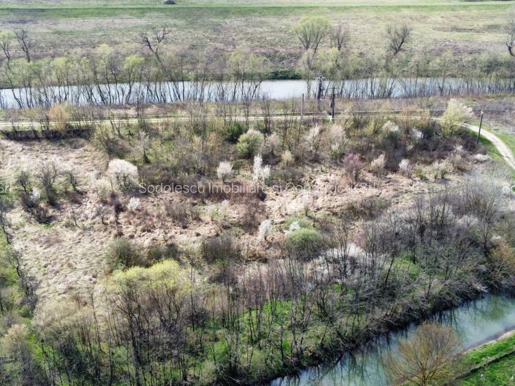 Teren intravilan Balint 22.500 mp - 10