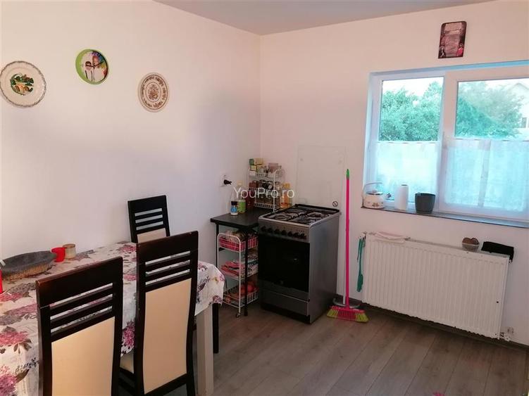 Vila Individuala Sinmihaiul Roman - 20