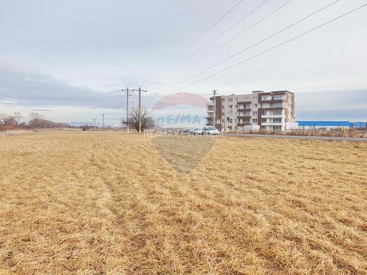 Teren 11600 mp, front la DN73B, Cristian - 8