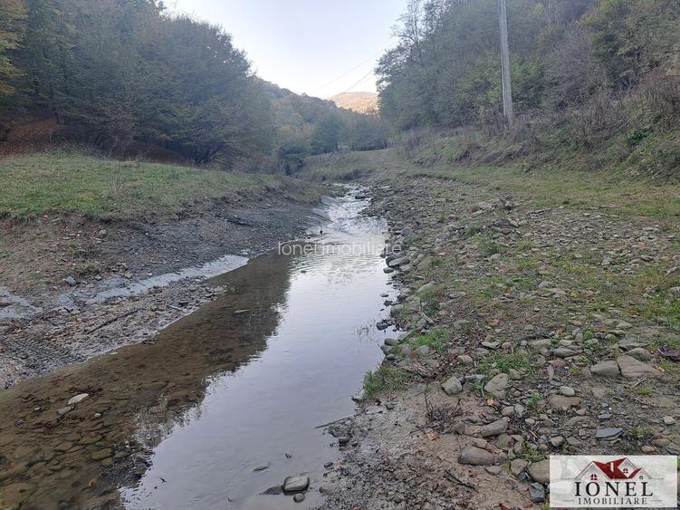 Vanzare casa cu 17.399 mp teren in Vintu de Jos - Valea Vintului - 9