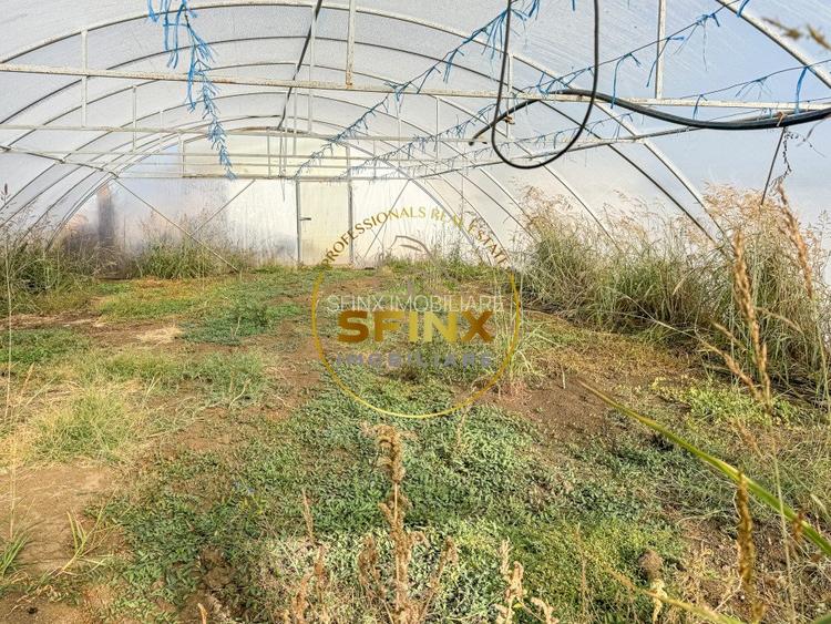 De vanzare ferma Calarasi in stare de conservare - sere - livada  - 18
