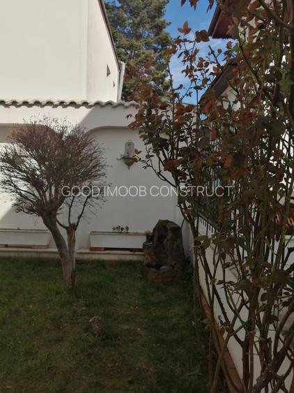 Închir Vila Floreasca 9 camere - 12