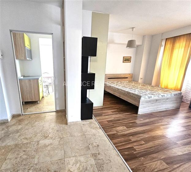 Semicentral, Carrefour Market, apartament mobilat si utilat - 10