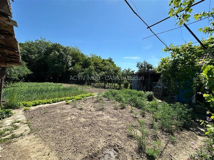 Casa Cocheta, Locuibila imediat,  cu Gradina si Curte,1500mp., Com.Birda. - 24