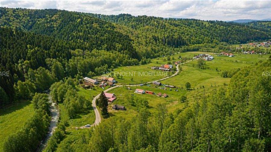 Teren la poalele padurii,Buzaiel,Vama Buzaului,DJ,constructie +utilitati,Brasov - 13