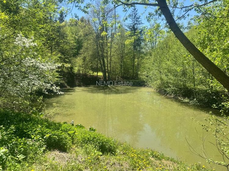 🌲 Cabana de Poveste | Molid – Vama - 13