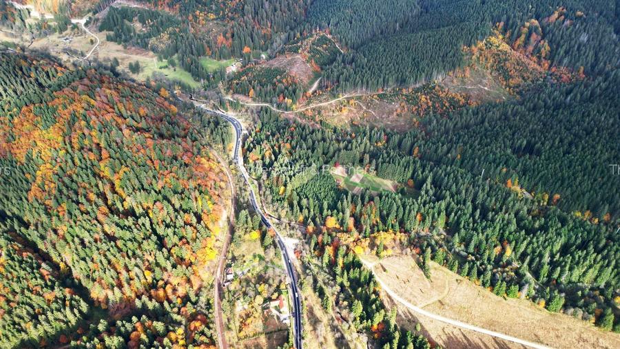 Poiana lui Manole - teren Intravilan - 24