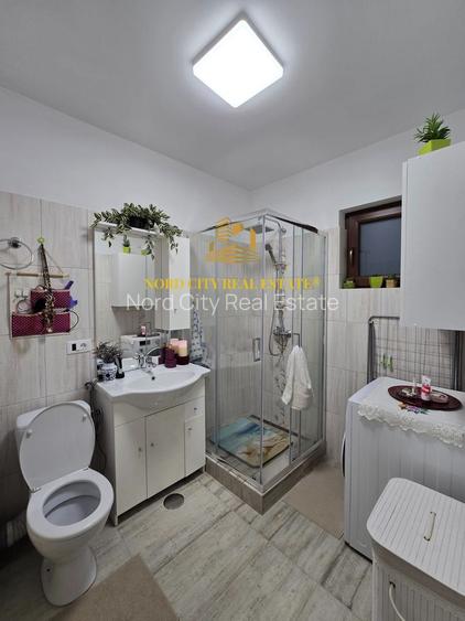 De vanare - Casa Dragomiresti Vale - 18