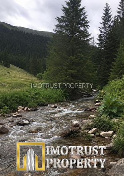 Teren cu acces la râu în Stejar – ideal pentru cabane sau retreat - 6