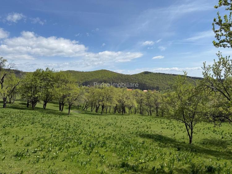 TEREN INTRAVILAN 8330 MP, INURI, VINTU DE JOS - 5