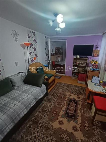 Zona Ultracentrala, Pta Concordia 3 Camere Boltari si Paianta - 7