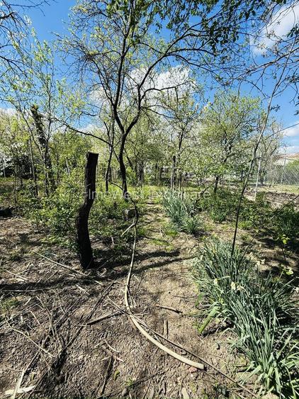 Ciarda Roșie | 2 case în curte | Teren 700 mp | Garaj | Toate utilitățile - 7