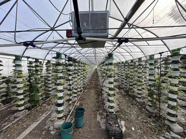 De vanzare-afacere la cheie - 4