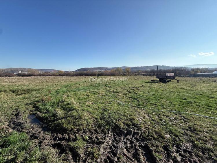 NOU! Teren intravilan pentru dezvoltare industriala/hale, 35 eur/mp - 3