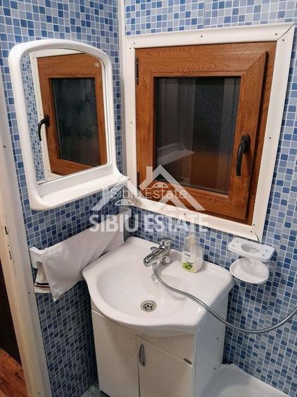 Cabană cu teren și pomi fructiferi Tropinii Noi ,Sibiu - 11
