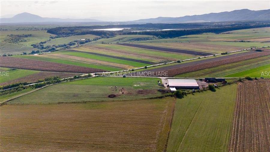 FILM! Zona extinsa, teren mixt,18.000 mp, ideal agro-investitii, Rotbav, Brasov - 2