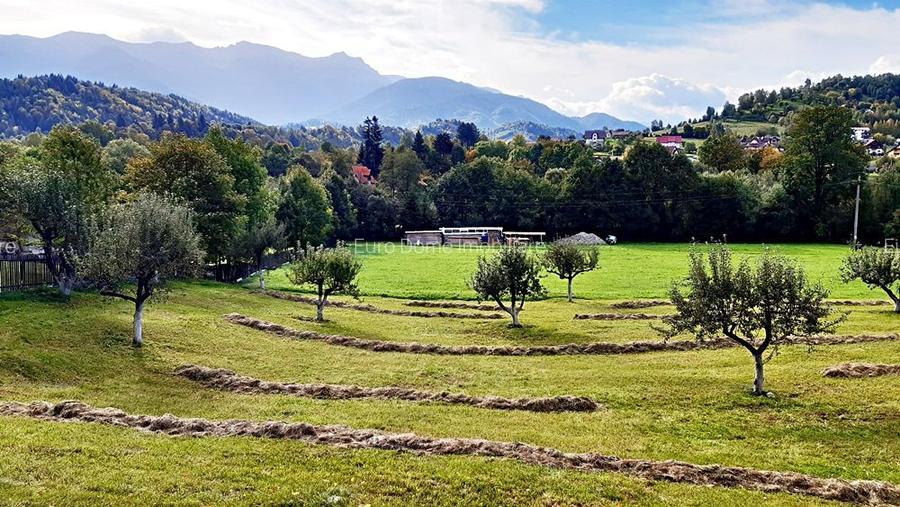 Teren superb de 16240mp, parcelabil, in Bran la intrare in Moeciu de Jos - 10