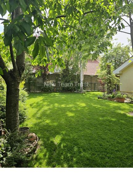 Vanzare  Vile  Pipera Scoala  Americana - 18