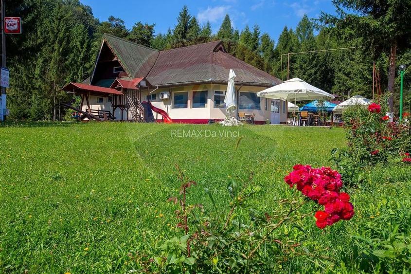Oportunitate rară in România! Complex turistic Poiana Sărată si pădure - 15