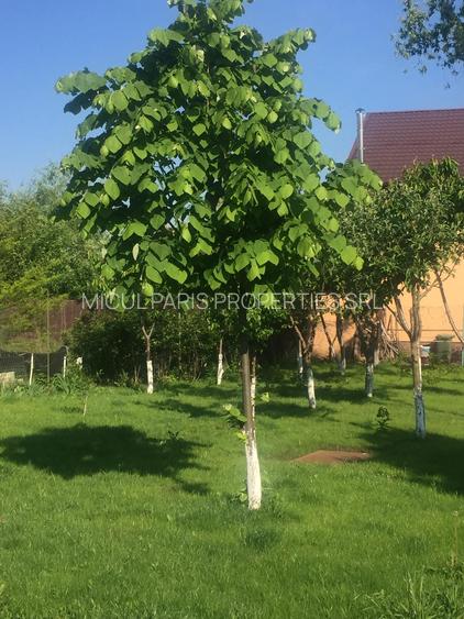 Vila individuala spatiosa - teren 1156 m.p. - 36