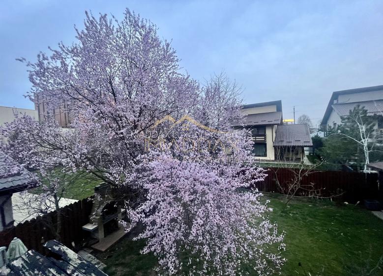 Masterpiece villa*** 6 camere//Independenta energetic//Kaufland Balotesti - 4