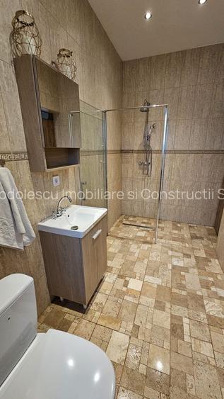 Vila individuala la 30 km de Timișoara - 20