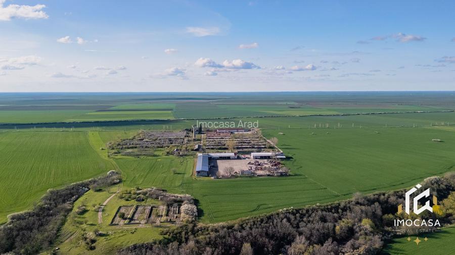 De vanzare Complex Zootehnic Suine Jud. Arad SU 15.30ha, Ferma, Grajd - 4
