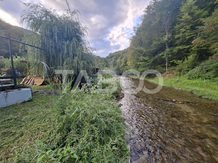 Spatiu de vanzare in Valea Macesului judel Valcea iesire la Lotru - 24