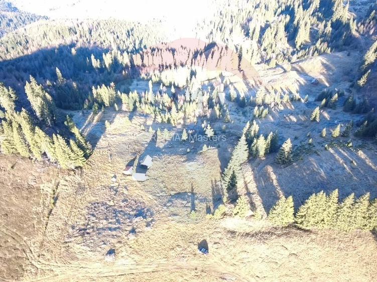 Teren 31,461mp Panaci / Prelungirea Ialovita - 6