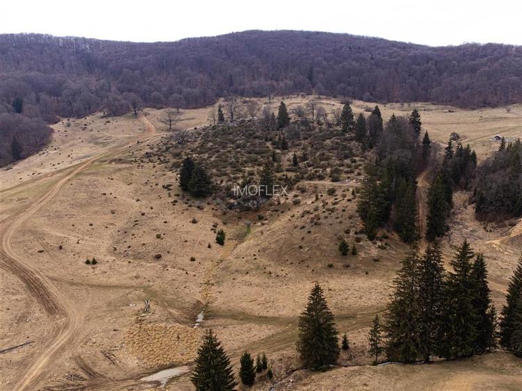 Teren Intravilan 6500 MP- Valea Poienii Aviatorilor ,Aproape de Poiana Brasov si - 10