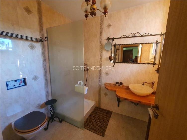 Vilă exclusivista in Cisnădie - oază de liniște și aer - 15