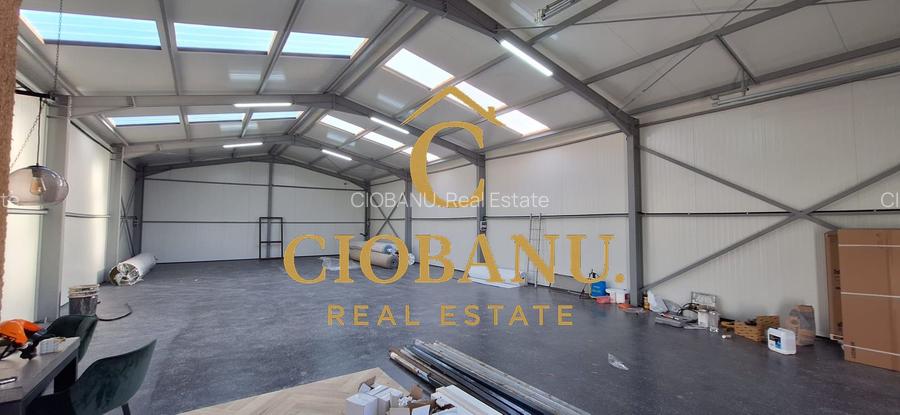 Hala de vanzare in Racarii de Jos - 10
