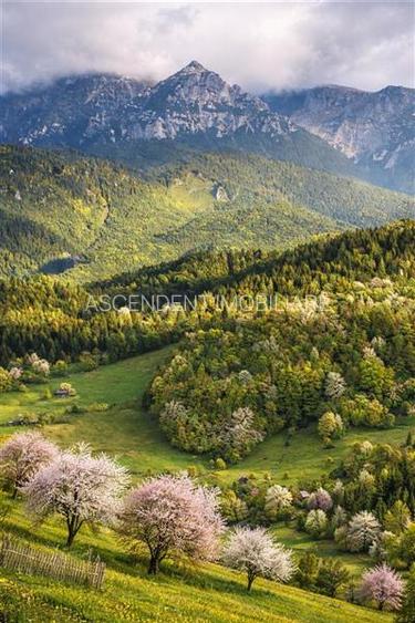 7.000 mp, pozitie spectaculoasa, fara vecini, Fundatica, Brasov - 13