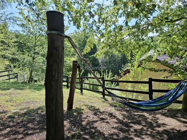 Pensiune agroturistică lângă București | Business funcțional | Iedera de Sus, DB - 15