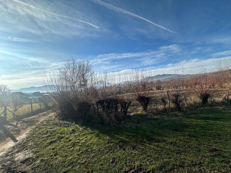 TEREN INTRAVILAN 1080 MP IN RASINARI - 4