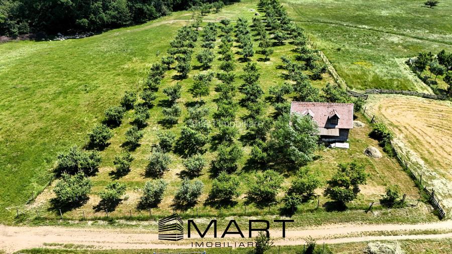 Teren extravilan 5000mp zona Cisnadie - 2