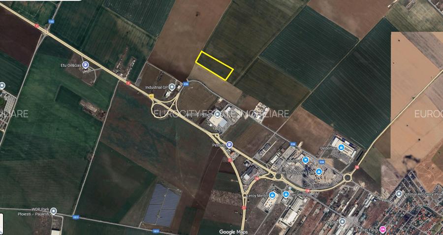 Metro Ploiesti - Paulesti, vanzare teren 39.144mp. - 5