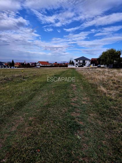 Teren Intravilan superb, 504 mp x 2/ casa locuit Bunloc - 7