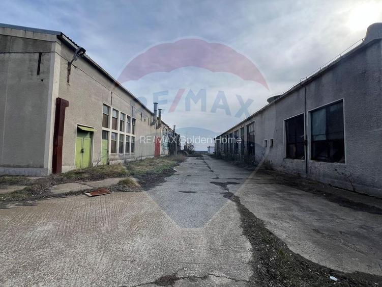 Spațiu industrial vinificatie Dobrinesti - 11