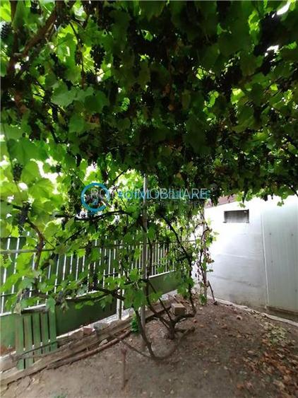 Royal Imobiliare - Vanzare Casa Zona Cantacuzino - 4